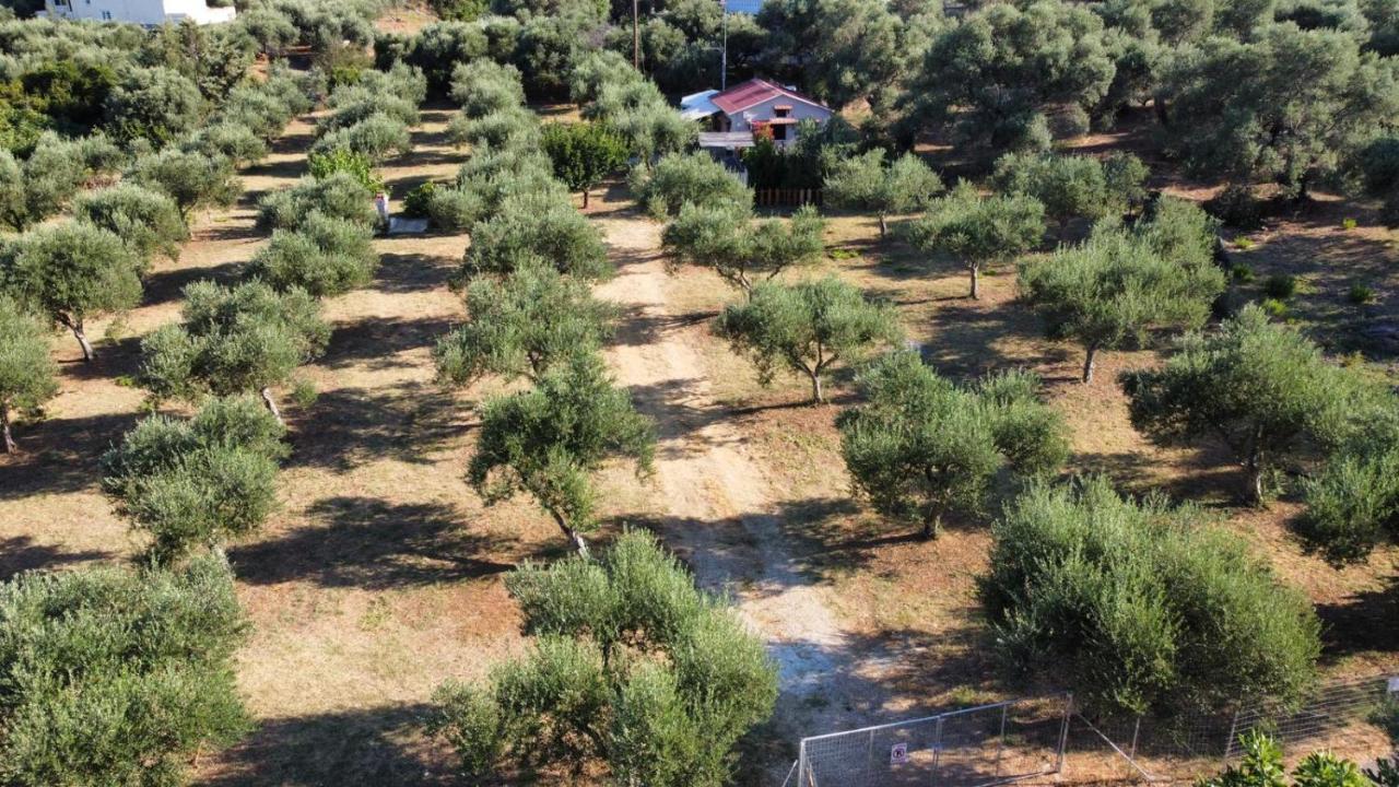 Olea Cottage Galatás エクステリア 写真