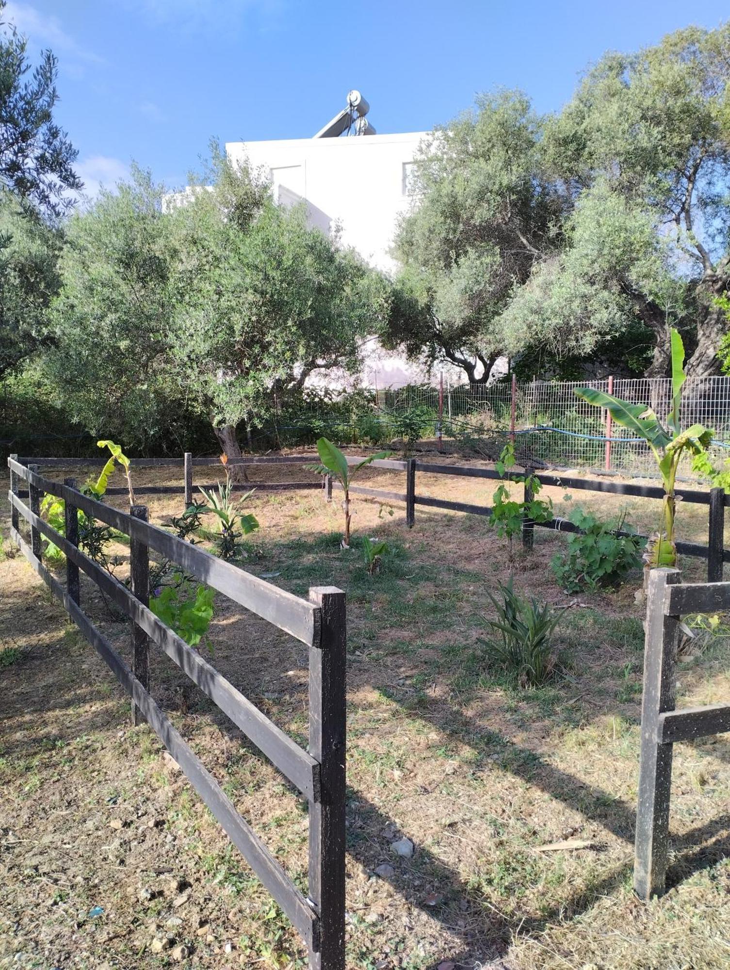 Olea Cottage Galatás エクステリア 写真